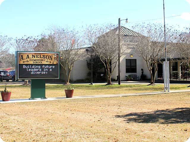 Nelson Elementary