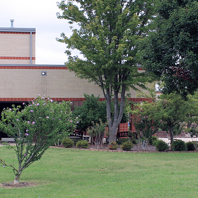 Elm Tree Elementary School - Supply Kits